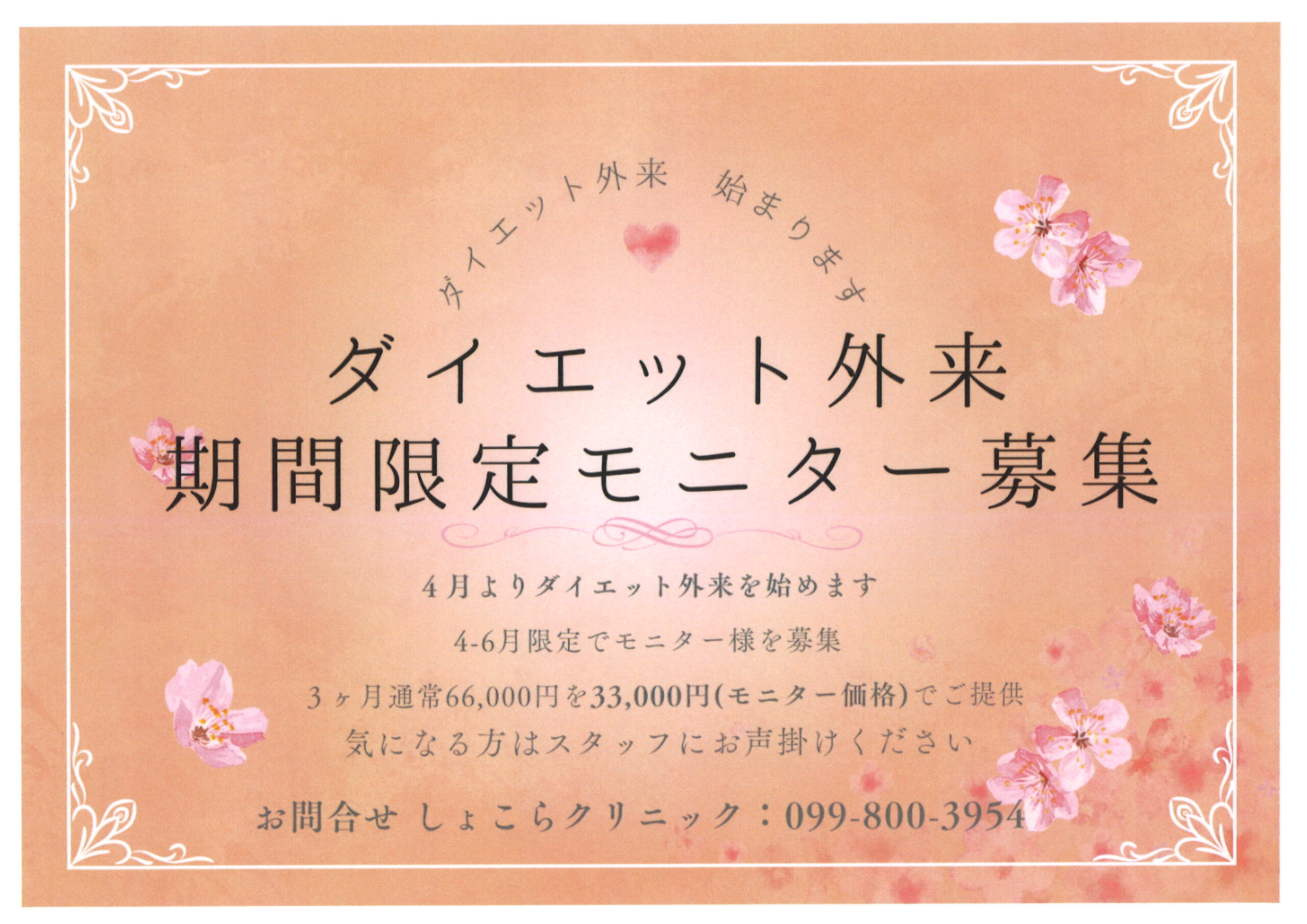 健康的に痩せるダイエット外来(^^)/ | 医療法人ショコラ しょこら